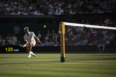 wimbledon favourite to win